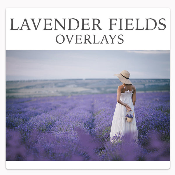 *Fan Favorite* Over 800 Photoshop Actions, Overlays, Templates & More from Urban Bloom Actions