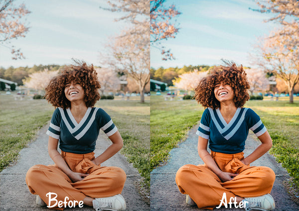 The Lifestyle Collection Presets