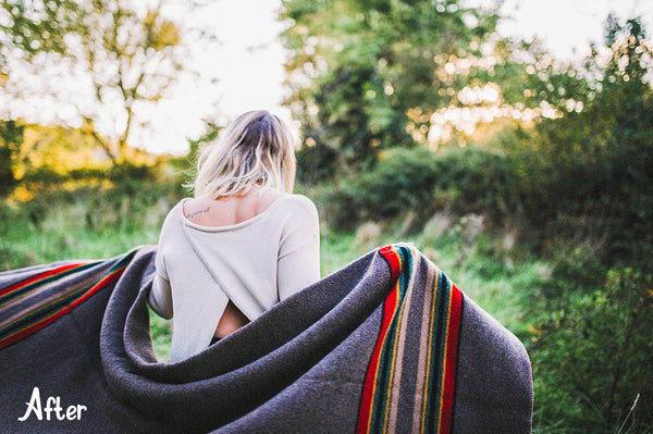 The Lifestyle Collection Presets