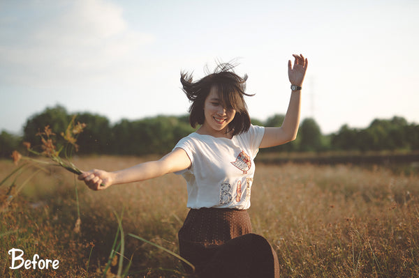 The Lifestyle Collection Presets