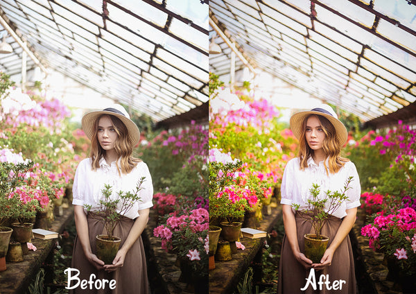 The Lifestyle Collection Presets