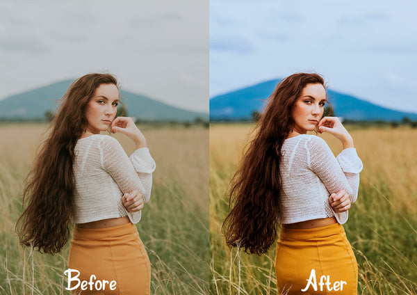 The Lifestyle Collection Presets