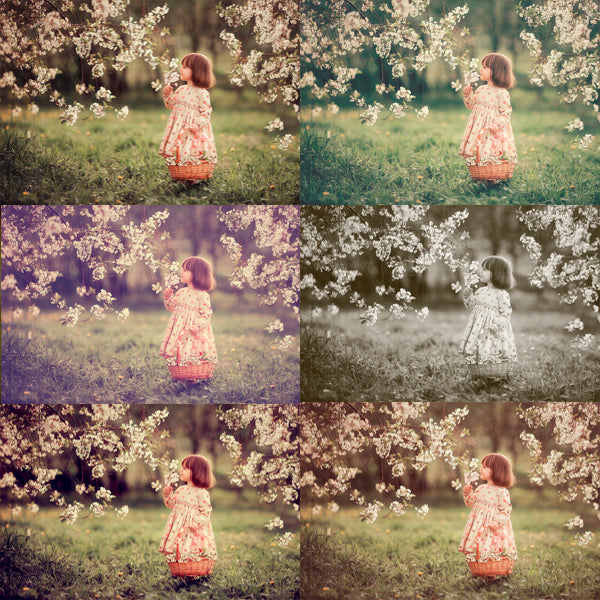 500 Stunning Lightroom Presets