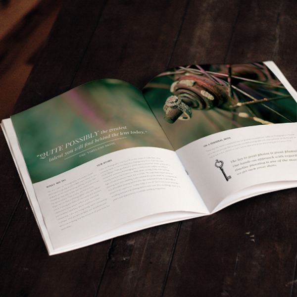 Wedding Marketing Magazine