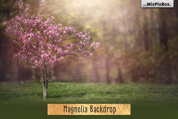 Photo Overlay Bundle: Beach Backgrounds, Dirt Explosion, Stadium Light, Animal Overlays, Ribbon, Floral + more!