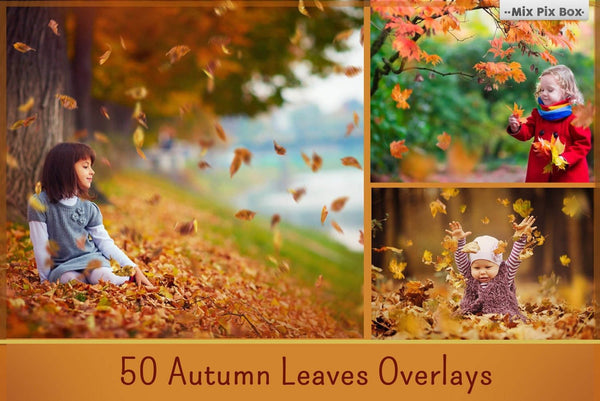 1400+ Photo Overlays, Night Sky Overlays, Digital Backgrounds, Brushes + More!