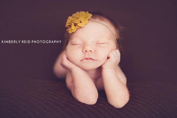 The Ultimate Posing Guide Collection