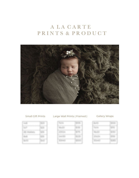 Newborn Photography Client Guide | Newborn Welcome Packet Template | PSD Template