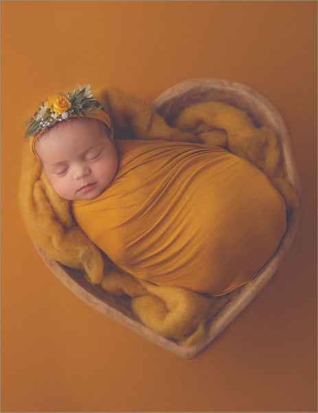 Newborn Photography Client Guide | Newborn Welcome Packet Template | PSD Template