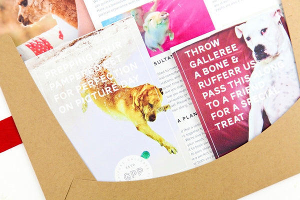 Pet Marketing Toolkit