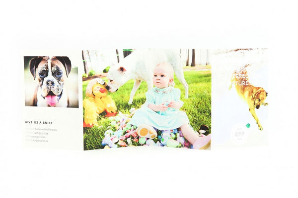 Pet Marketing Toolkit