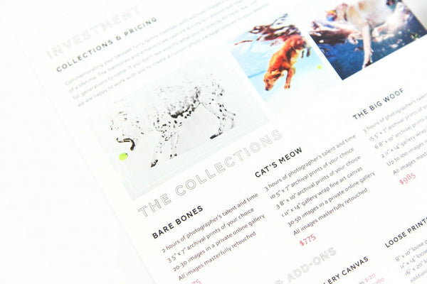 Pet Marketing Toolkit