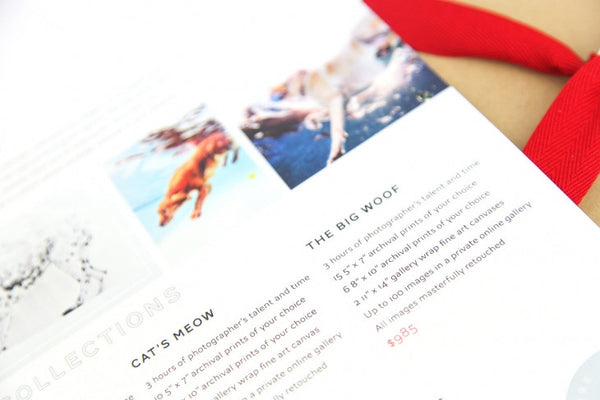 Pet Marketing Toolkit