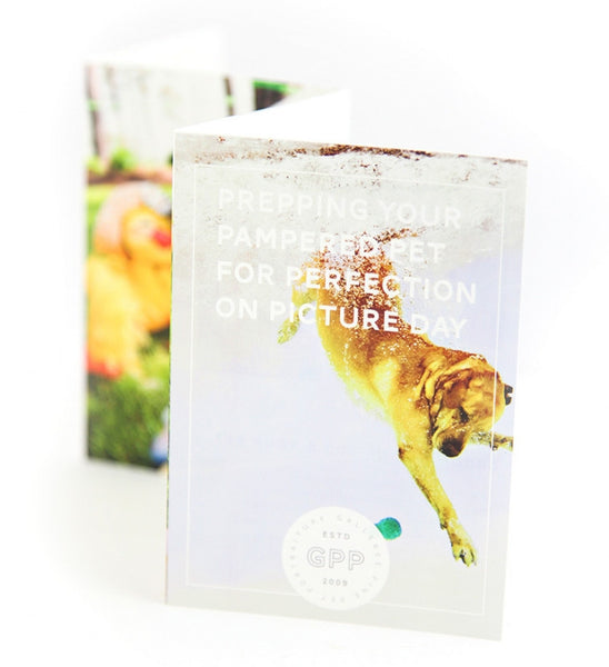 Pet Marketing Toolkit