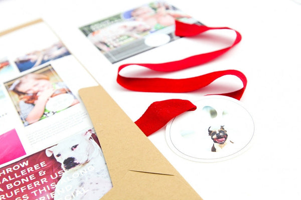 Pet Marketing Toolkit