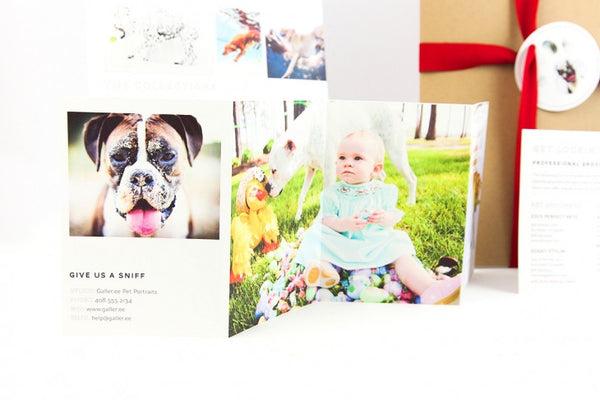 Pet Marketing Toolkit