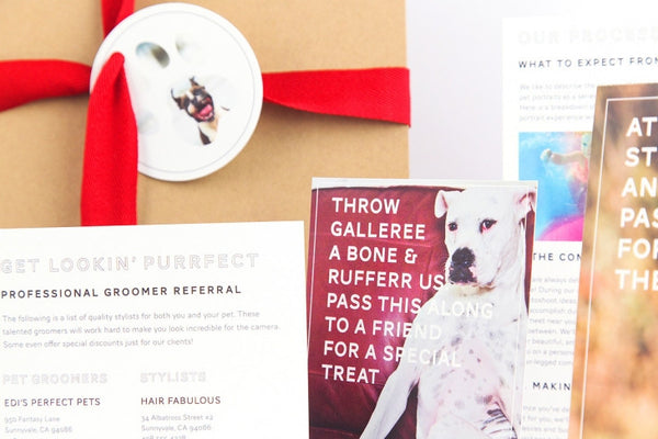 Pet Marketing Toolkit