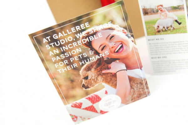 Pet Marketing Toolkit