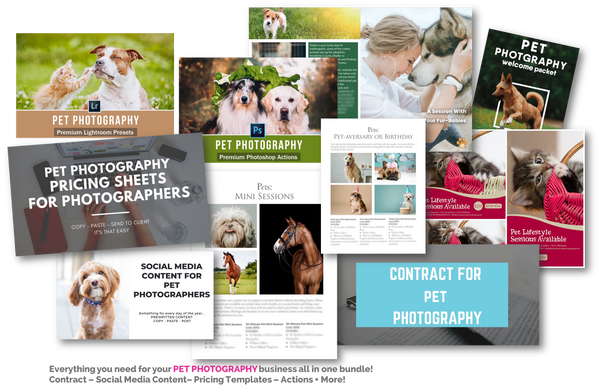 2021 Product Collection