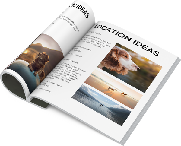 Location Planning Guide for Photography Clients for CANVA: HUGE BUNDLE