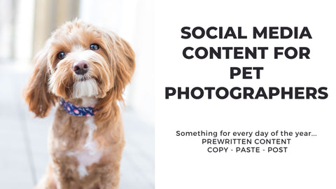 Pet Photography Social Media Content *Copy-Paste-Post* - Already done for you!