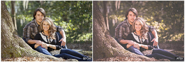 BP4Uagram! Presets Made Easy!