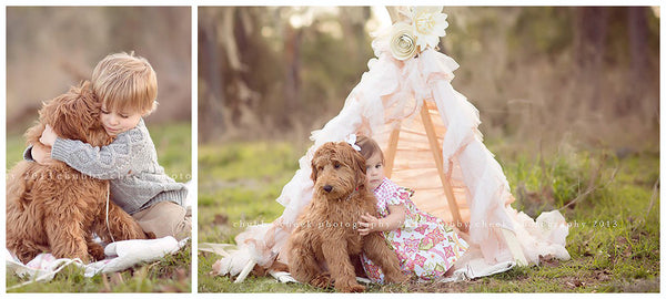 Collage Maker Templates & Actions