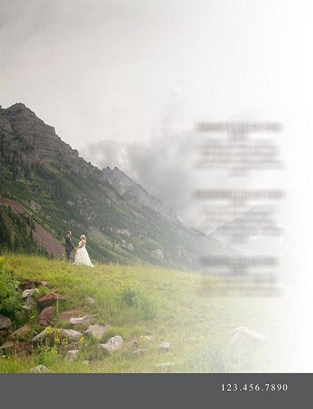 Pricing and Product Description Pages