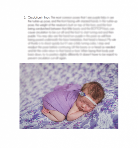 Amy Cook Newborn and Milestone Course MEGA BUNDLE!