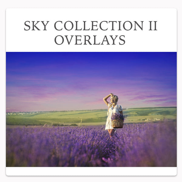 *Fan Favorite* Over 800 Photoshop Actions, Overlays, Templates & More from Urban Bloom Actions