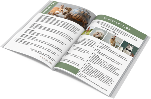 Pet Client Guide Template For Canva, Pet Welcome Packet, Pet Photography Magazine