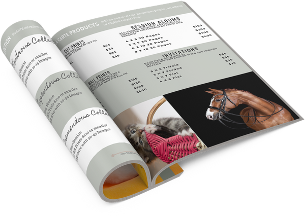 Pet Client Guide Template For Canva, Pet Welcome Packet, Pet Photography Magazine