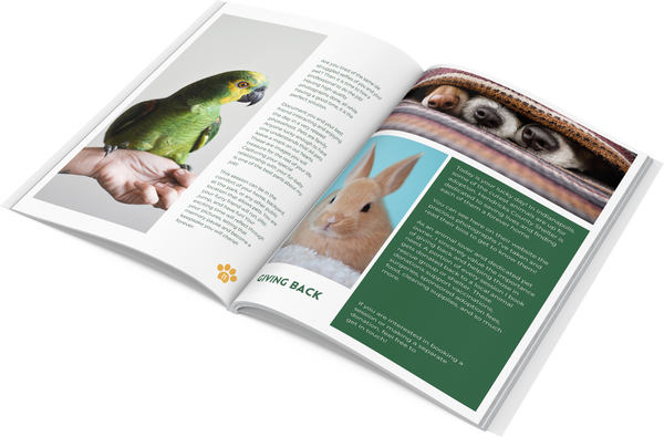 Pet Photography Client Guide Template for CANVA | Welcome Packet | Canva Templates for Pet Photographers