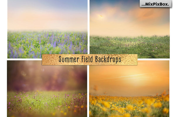 Photo Overlay Bundle: Beach Backgrounds, Dirt Explosion, Stadium Light, Animal Overlays, Ribbon, Floral + more!