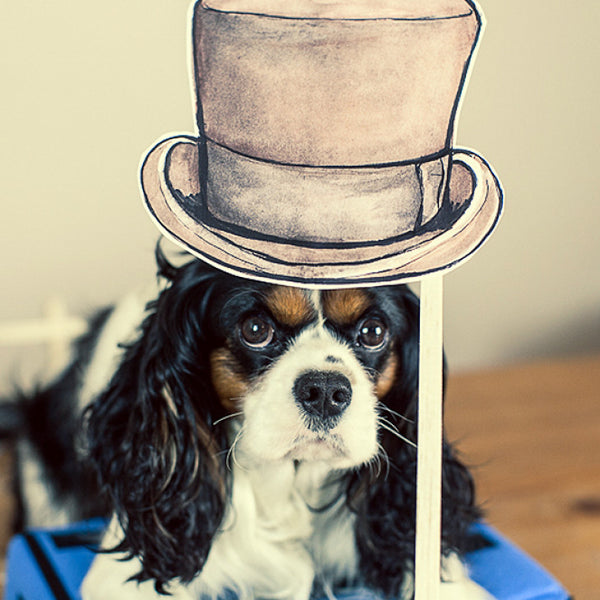 The Complete Photobooth Kit