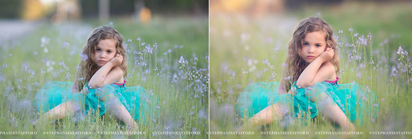 *10 Videos* Fantasy Edit Video Course by Stephanie Stafford