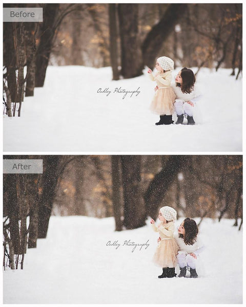 *Fan Favorite* Over 800 Photoshop Actions, Overlays, Templates & More from Urban Bloom Actions